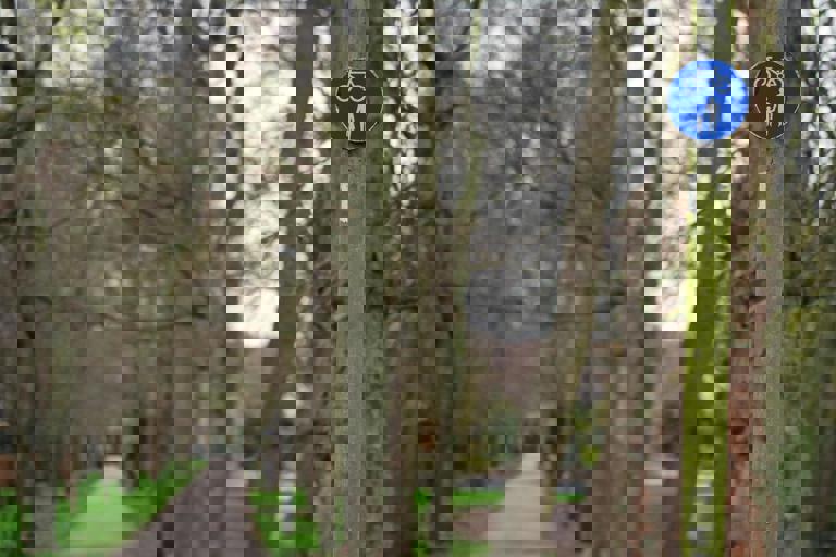 Old Rail Corridor Transformed into Community Bike Highway in Bold Revamp Project